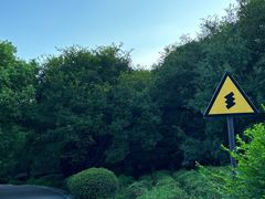 -南京市江宁方山