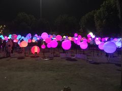 -锦江乐园舞狸花花游园会(夜场专享)