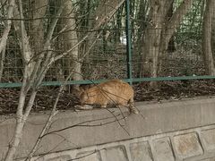 -黄兴公园