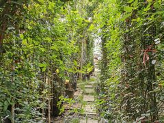 -三圣花乡旅游区