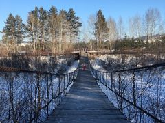-北极村旅游风景区