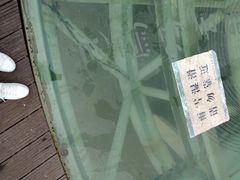 -南京眼步行桥