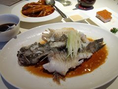 -利苑酒家(华熙国际店)