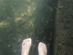 -凤翔首邑温泉度假村