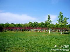 -永定河休闲森林公园