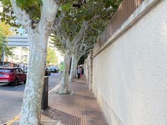 -上海中航虹桥机场泊悦酒店