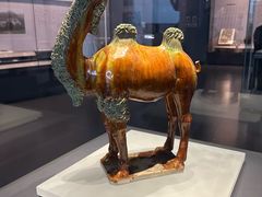 -贵州省博物馆(新馆)