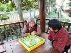 -上海市奉贤区奉城镇敬老院(洪天奉城分院)