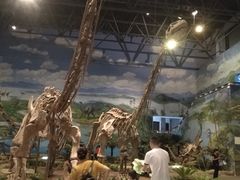 -自贡恐龙博物馆