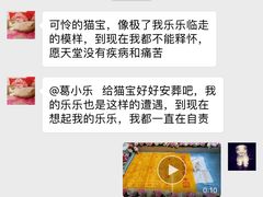 -瑞鹏宠物医院·爱宠堂·骨外专科(西荷分院)