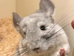 -龙猫仔乐园(惠福东路店)