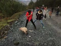 -硗碛藏寨·神木垒景区