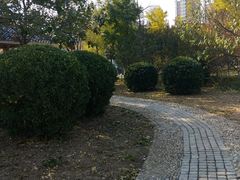 -绿岛公园(滨海新区)