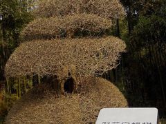 -苏州河梦清园环保主题公园