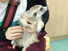 -藦茜花园宠物主题亲子互动体验馆(国顺东路店)