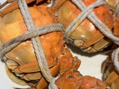 -杨氏青龙虾·羊蝎子(金盛路总店)