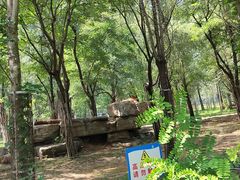-秦皇岛野生动物园