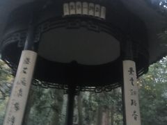 -龙井村