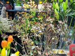 -何兮花店·气球派对鲜花店(马桥银春路万科城店)