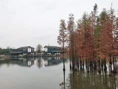 -白鹭湾湿地公园