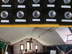 -树懒黑胶唱片店(中山路店)