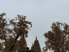 -北京石刻艺术博物馆(五塔寺)