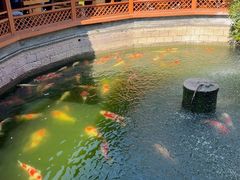 -香麒园·过桥米线·南湖雅宴