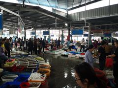 大堂-霞涌市场海鲜摆卖区