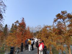-田野绿世界