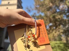 -大慈恩寺(大雁塔)