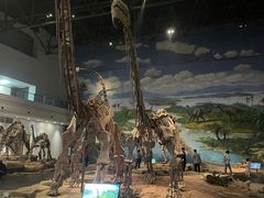 -自贡恐龙博物馆