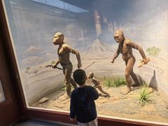 -国家自然博物馆