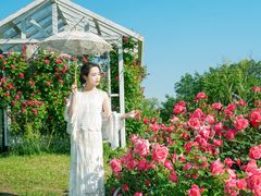-太阳宫公园