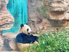 -石家庄极地海洋世界