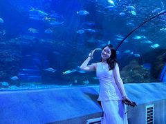 -太平洋海底世界