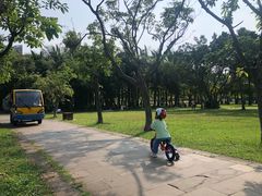 -万绿园