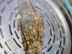 -碗中海·蒸汽海鲜·桑拿鸡(岭南天地店)