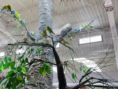 -南宫五洲植物乐园