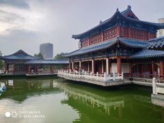 -雁滩公园