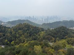 -大金鹰园