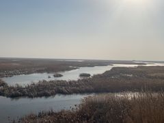 -盐城丹顶鹤湿地生态旅游区