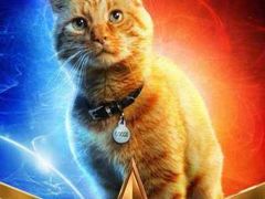 -木槿校园影城(闵行交大菁菁堂店)