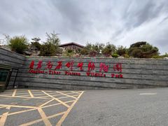 -青藏高原野生动物园