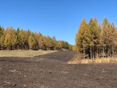 -塞罕坝国家级自然保护区