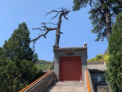 -妙峰山风景名胜区