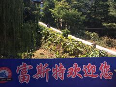 -富斯特索道
