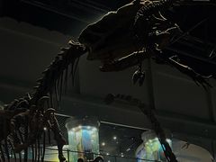 -自贡恐龙博物馆