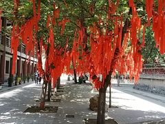 -西安青龙寺遗址景区