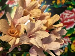 -醉烧膘·烧烤夜宵王(总店)