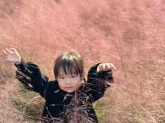 -昆山城市生态森林公园